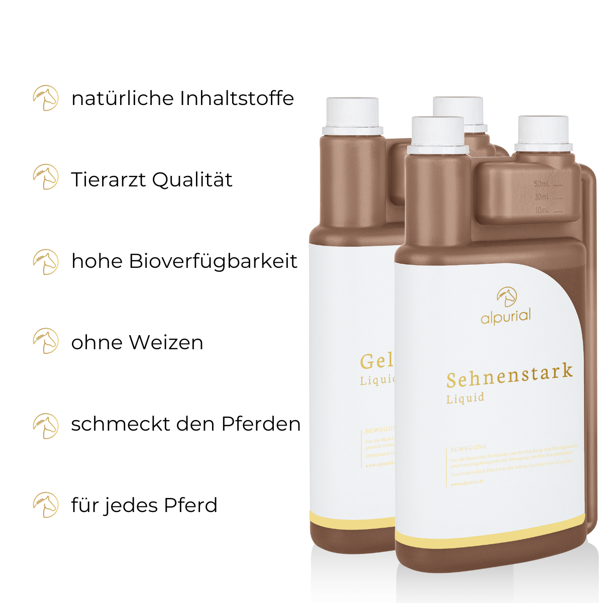 Bewegungsbundle