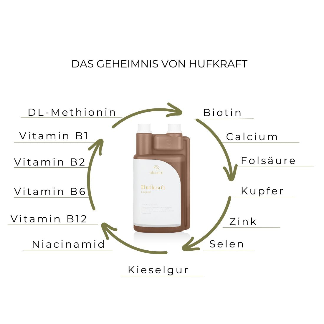 Hufkraft Inhaltsstoffe (2).jpg