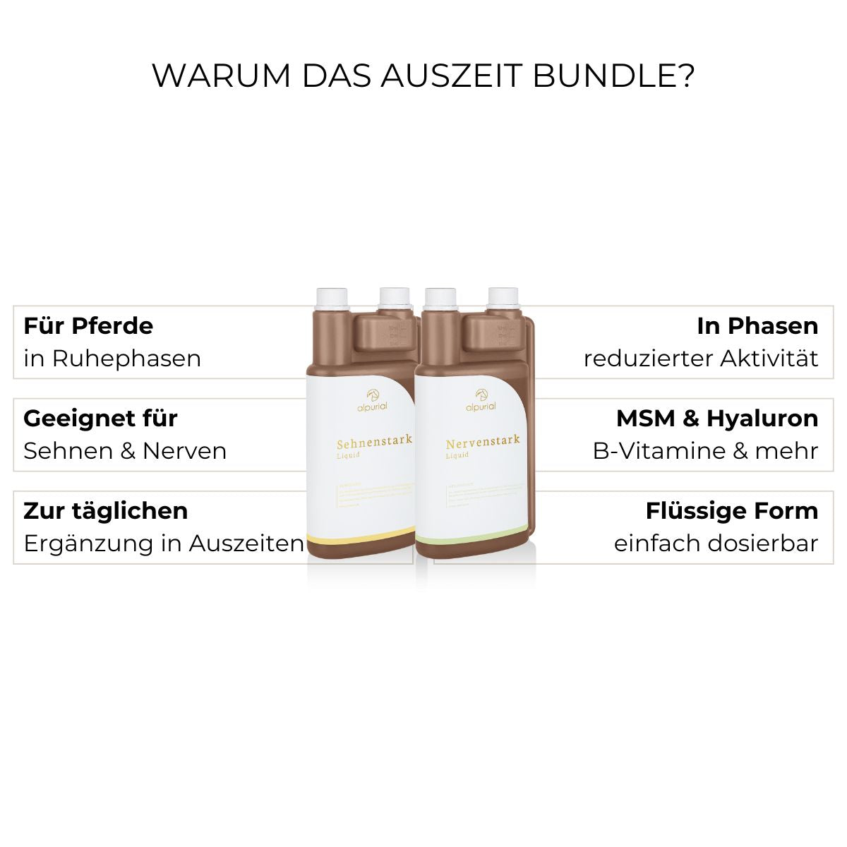 Auszeit Bundle Vorteile: Regeneration, Stabilität der Sehnen, Entspannung, innere Ruhe.