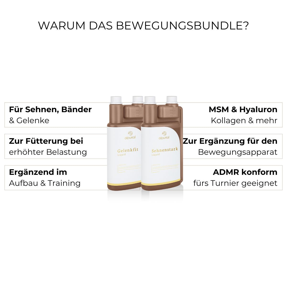 Bewegungsbundle Vorteile: Beweglichkeit bei Arthrose, Regeneration nach Sehnenschaden, Stabilität der Gelenke.