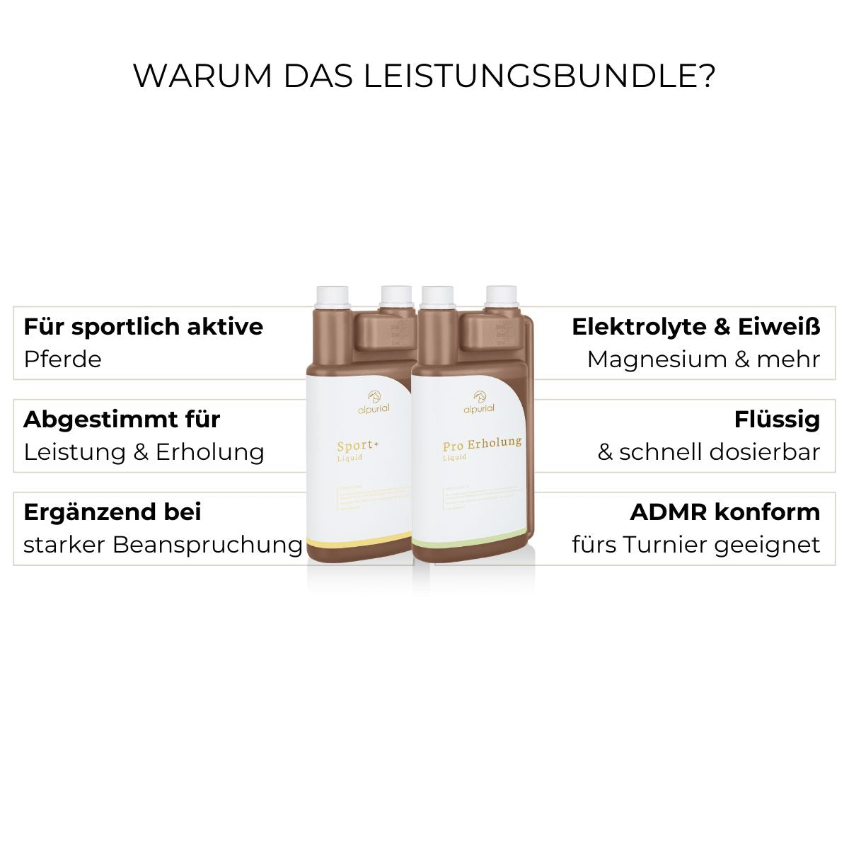 Leistungsbundle Vorteile: Leistungsbereitschaft, Energie, Regeneration, Ausdauer.