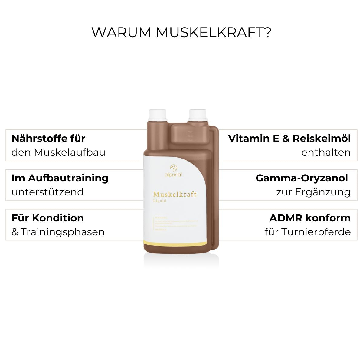 Muskelkraft Liquid Vorteile: Kondition, Rittigkeit, Muskelaufbau