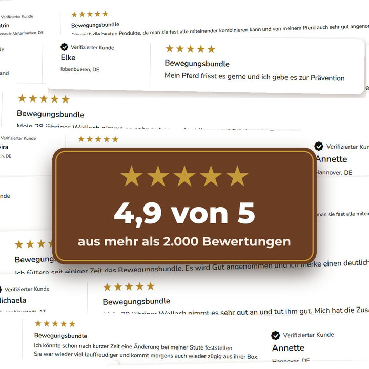 Kundenbewertungen zum Alpurial Bewegungsbundle, 4,9 von 5 Sternen