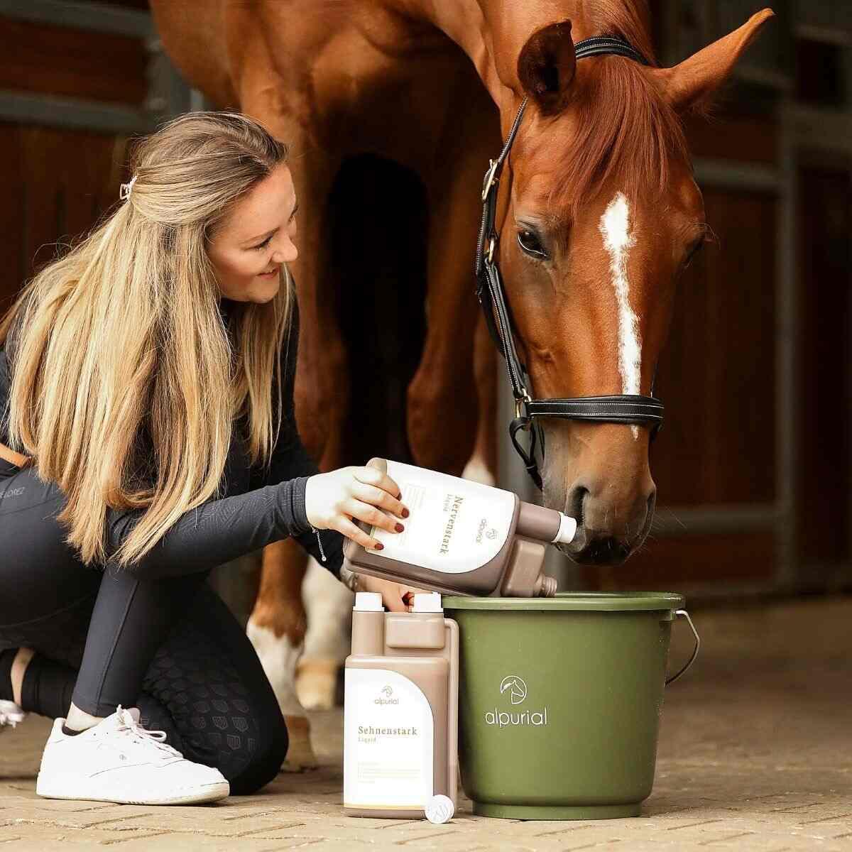 Pferd frisst Auszeitbundle Zusatzfutter für Nerven und Sehnen mit Nervenstark und Sehnenstark von Alpurial