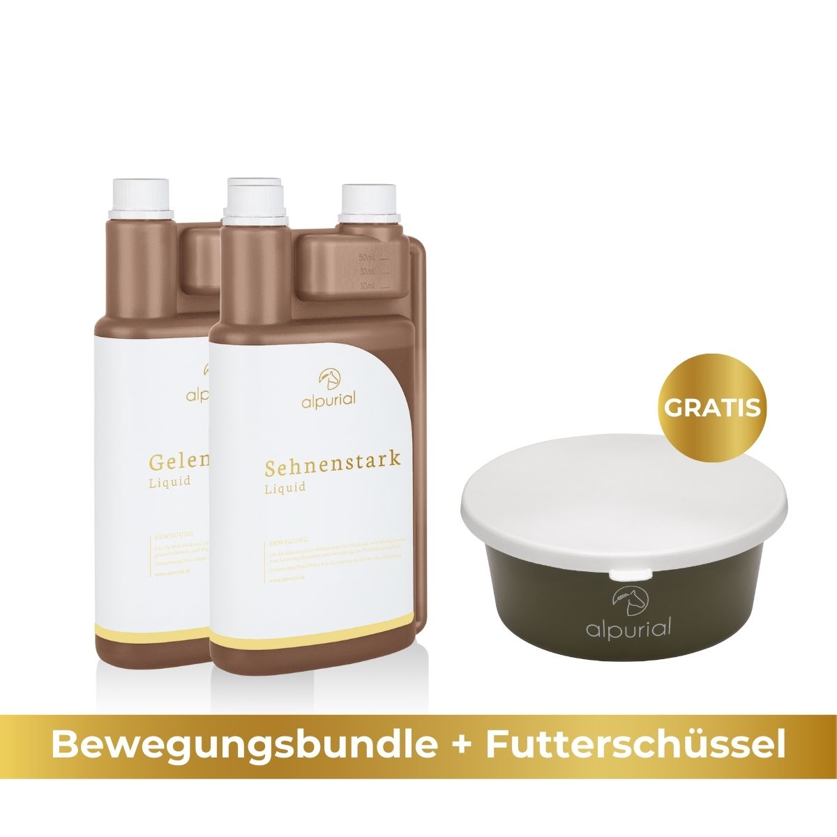 Premium Bewegungsbundle