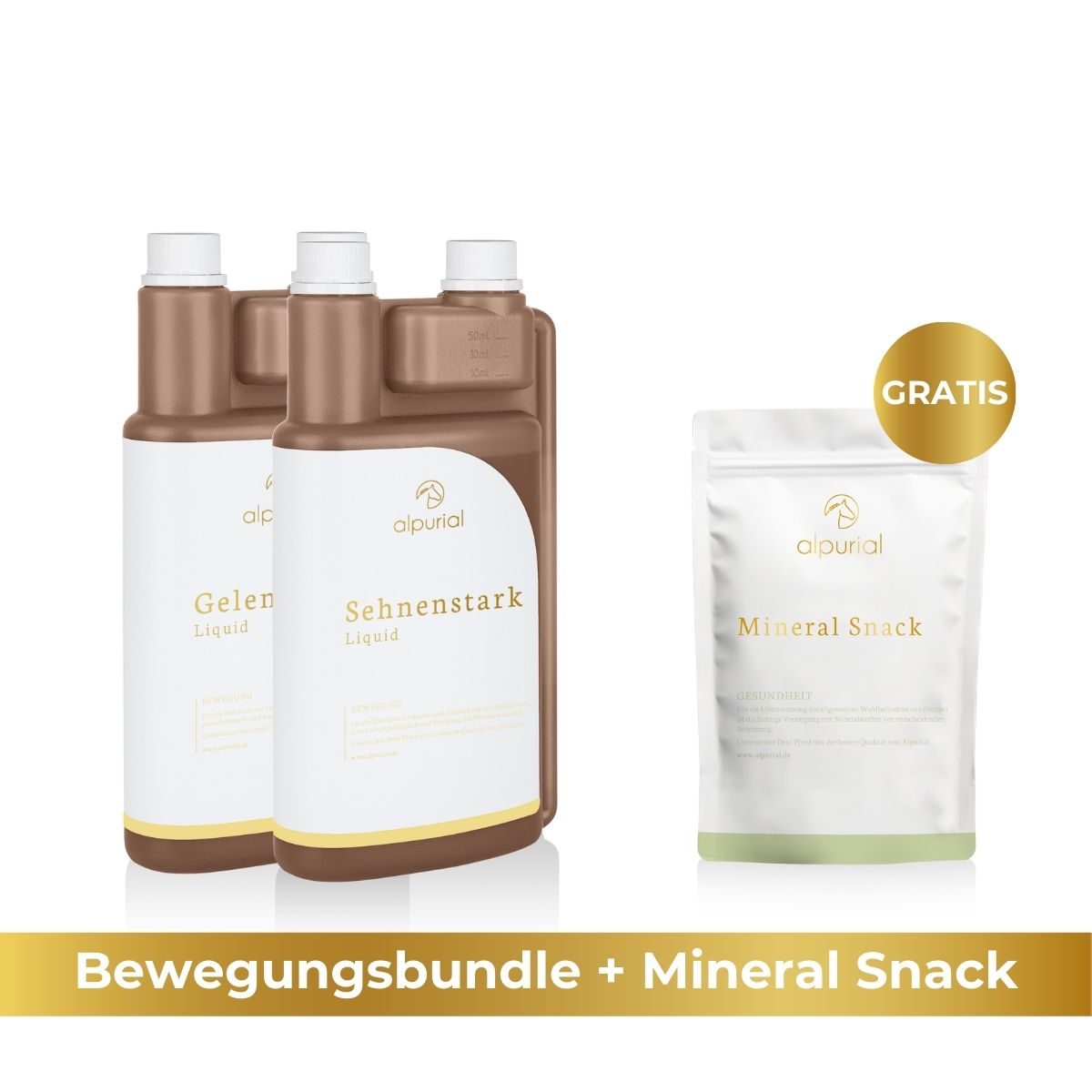 Premium Movement Bundle