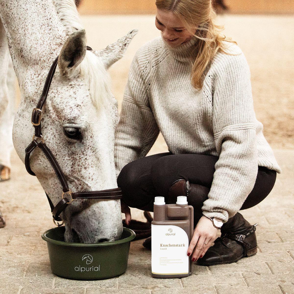 Knochenstark flüssiges Pferdefutter zur Knochenunterstützung Anwendung am Pferd Alpurial