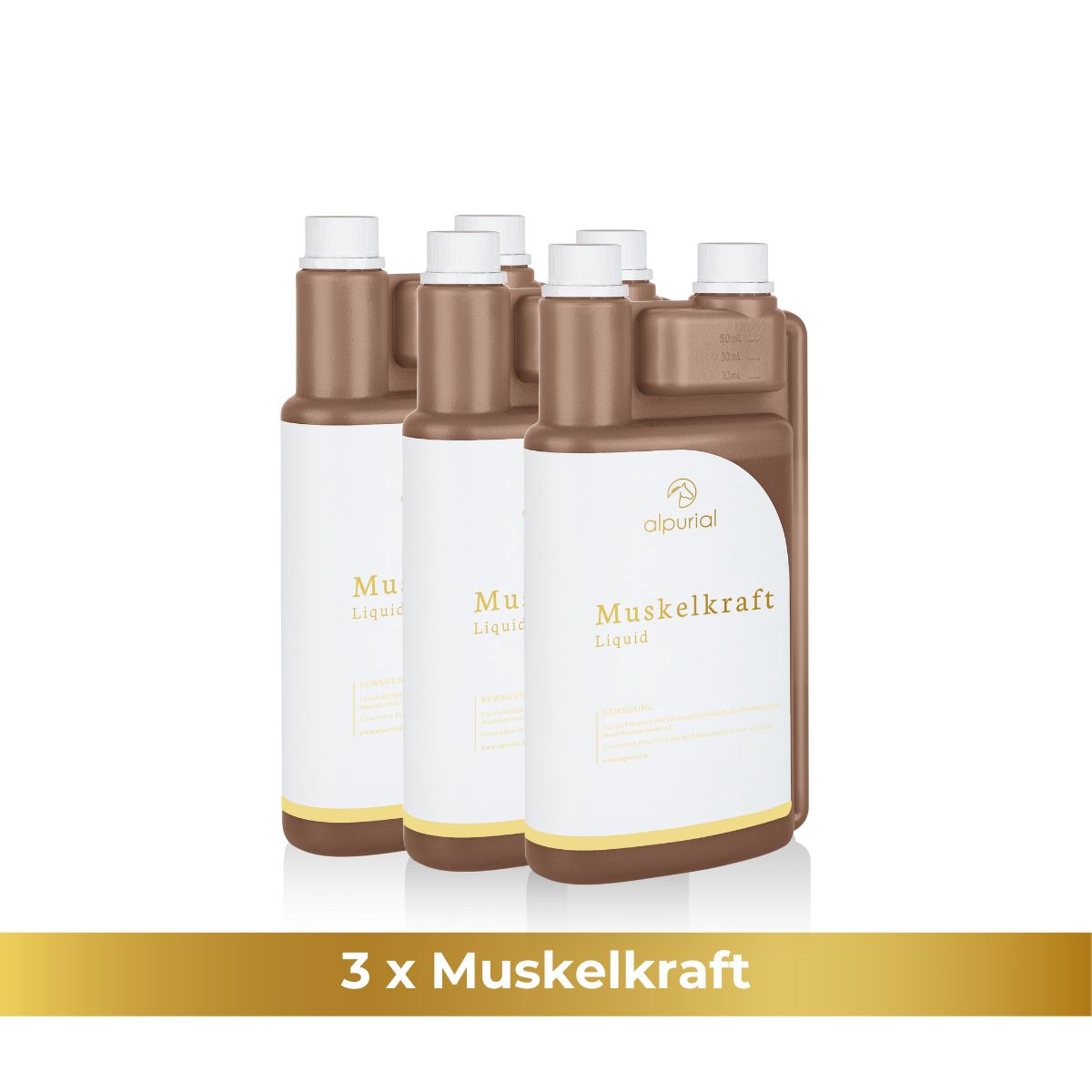 Muskelkraft