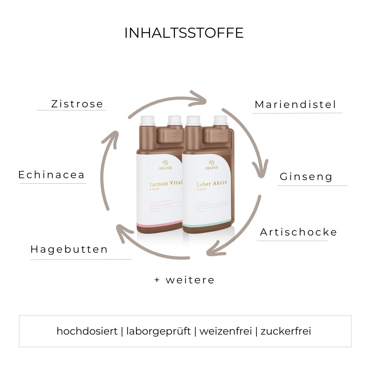 Sarkoidbundle flüssiges Zusatzfutter Inhaltsstoffe wie Zistrose, Echinacea, Hagebutte und mehr.