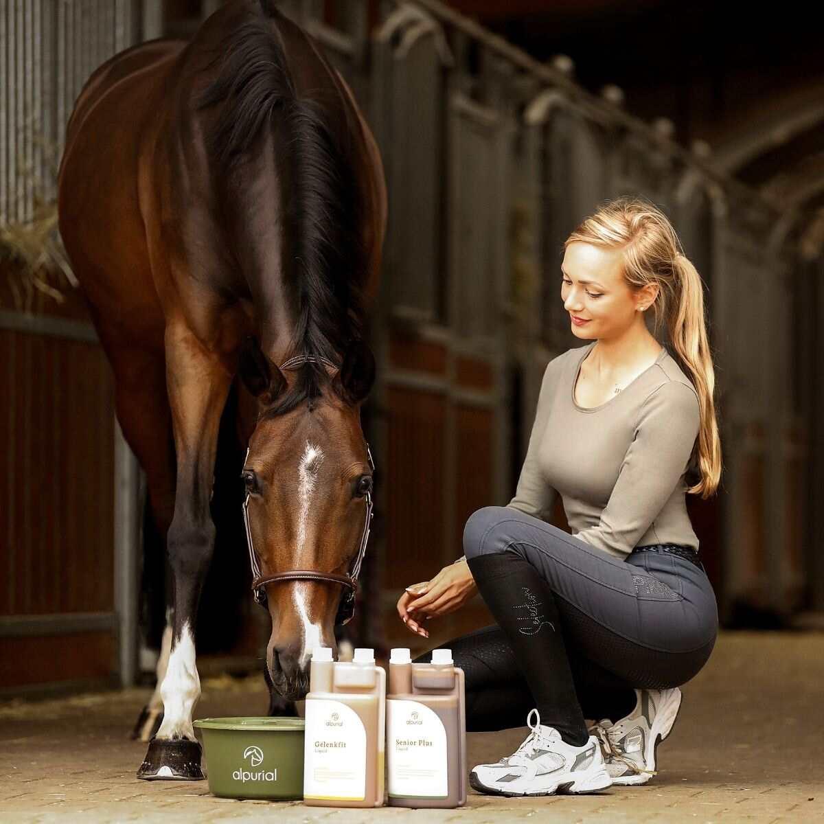 Seniorbundle flüssiges Pferdefutter zur Unterstützung altes Pferd Anwendung am Pferd Alpurial