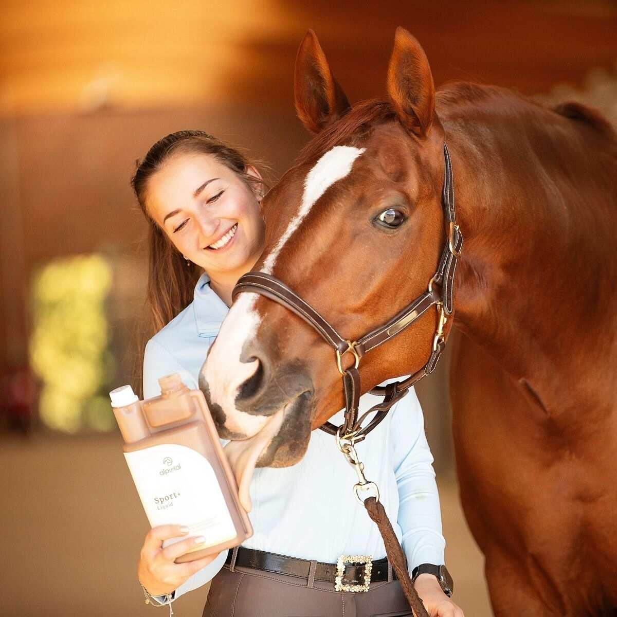 Sport+ flüssiges Pferdefutter zur Sportunterstützung Anwendung am Pferd Alpurial