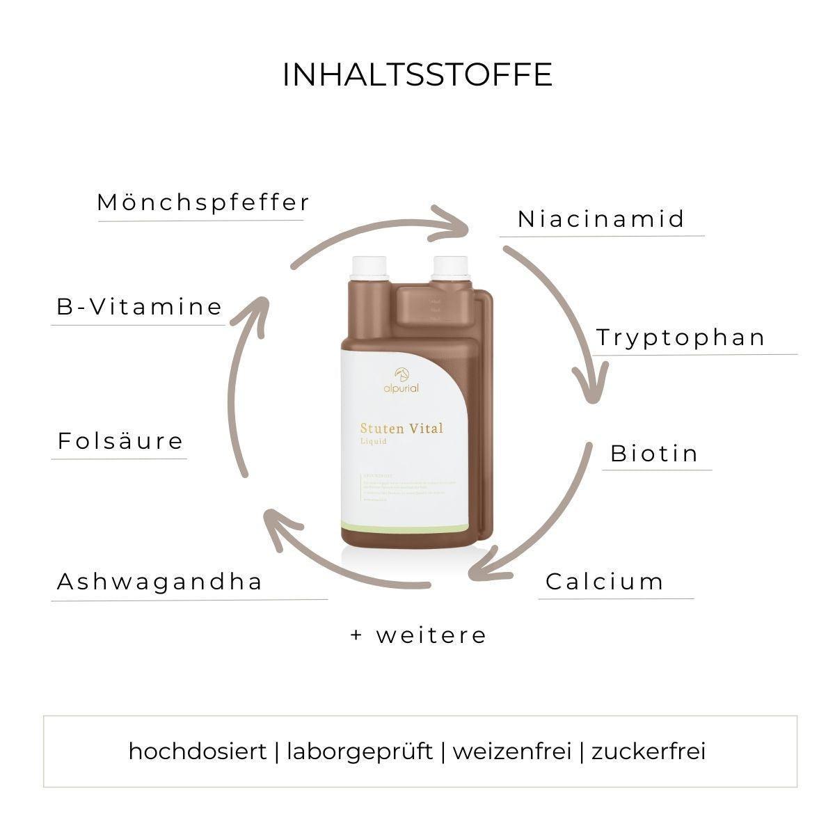 Stuten Vital flüssiges Zusatzfutter Inhaltsstoffe wie Mönchspfeffer, Folsäure, Ashwagandha und mehr.