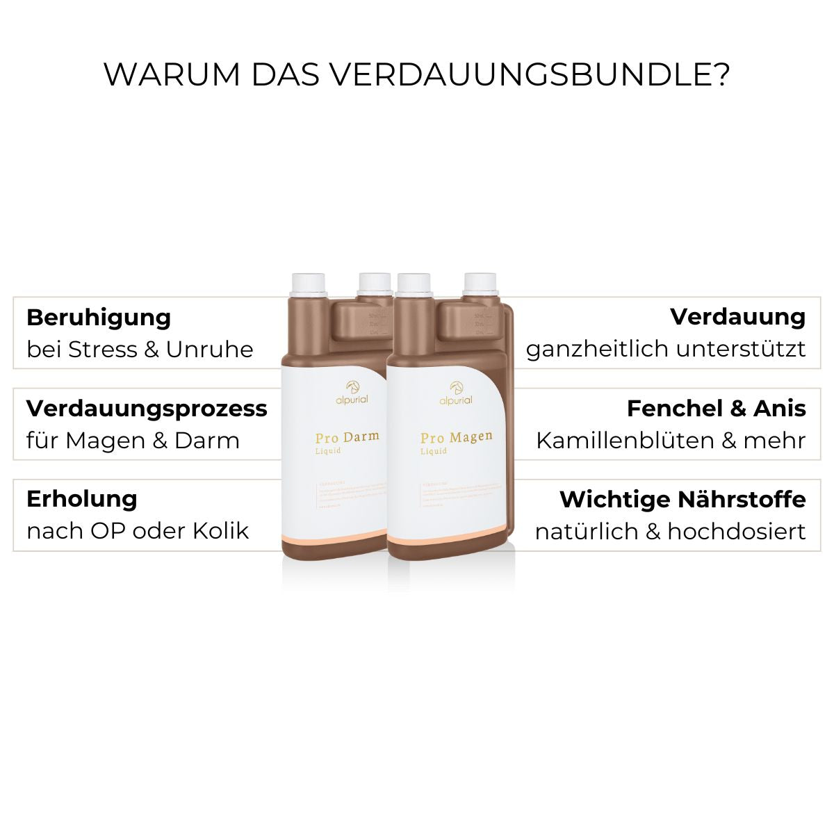Verdauungsbundle Vorteile: Konzentration, Beruhigung von Magen und Darm, Erholung nach Kolik