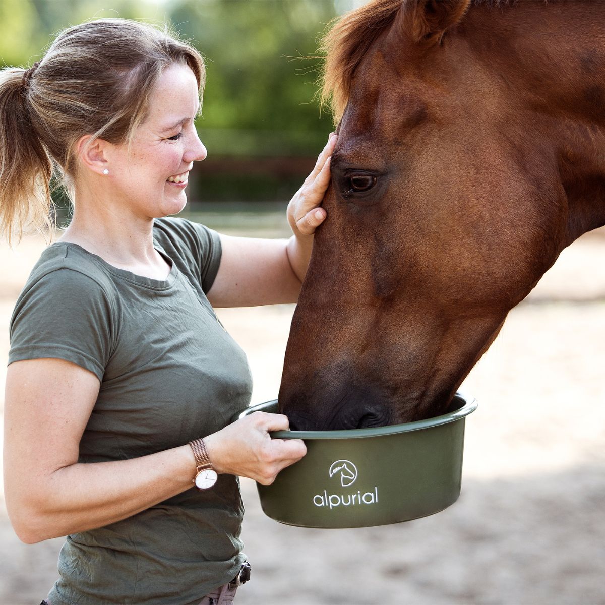 Karriere bei Alpurial