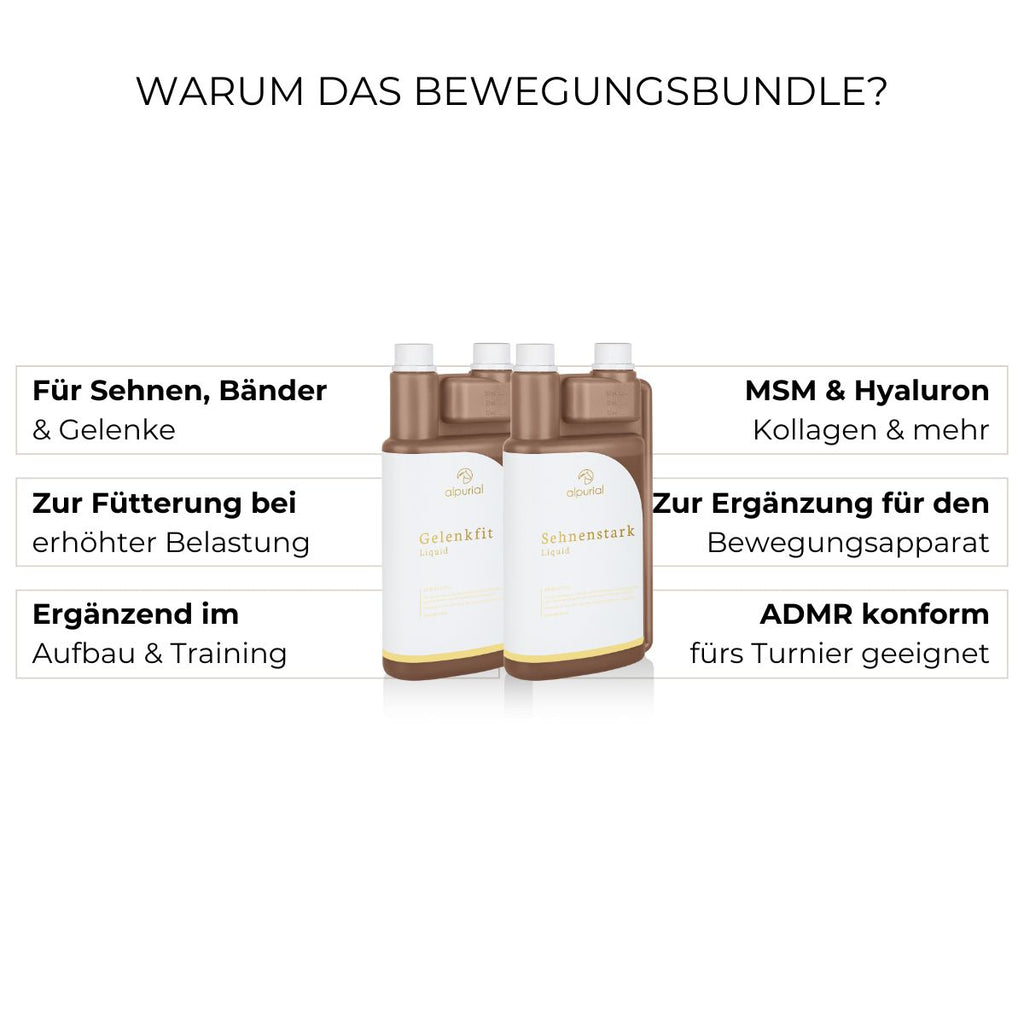 Bewegungsbundle Vorteile: Beweglichkeit bei Arthrose, Regeneration nach Sehnenschaden, Stabilität der Gelenke.
