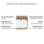 Leistungsbundle Vorteile: Leistungsbereitschaft, Energie, Regeneration, Ausdauer.
