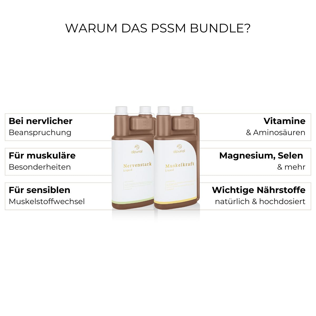 PSSM Bundle Vorteile: Muskelstoffwechsel, Rittigkeit, Muskelaufbau