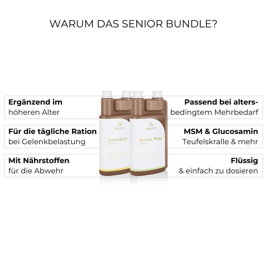 Senior Bundle Vorteile: Immunsystem, Beweglichkeit bei Arthrose, Energie.
