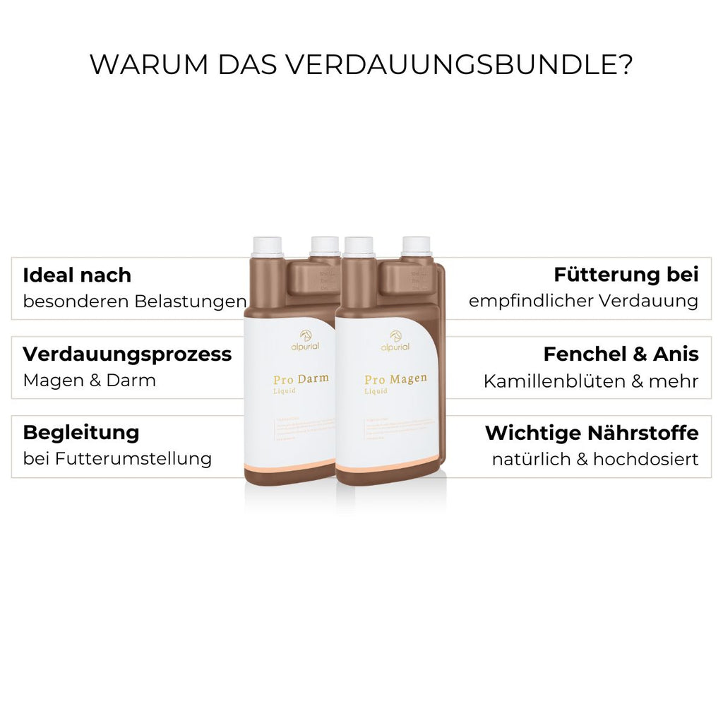 Verdauungsbundle Vorteile: Konzentration, Beruhigung von Magen und Darm, Erholung nach Kolik