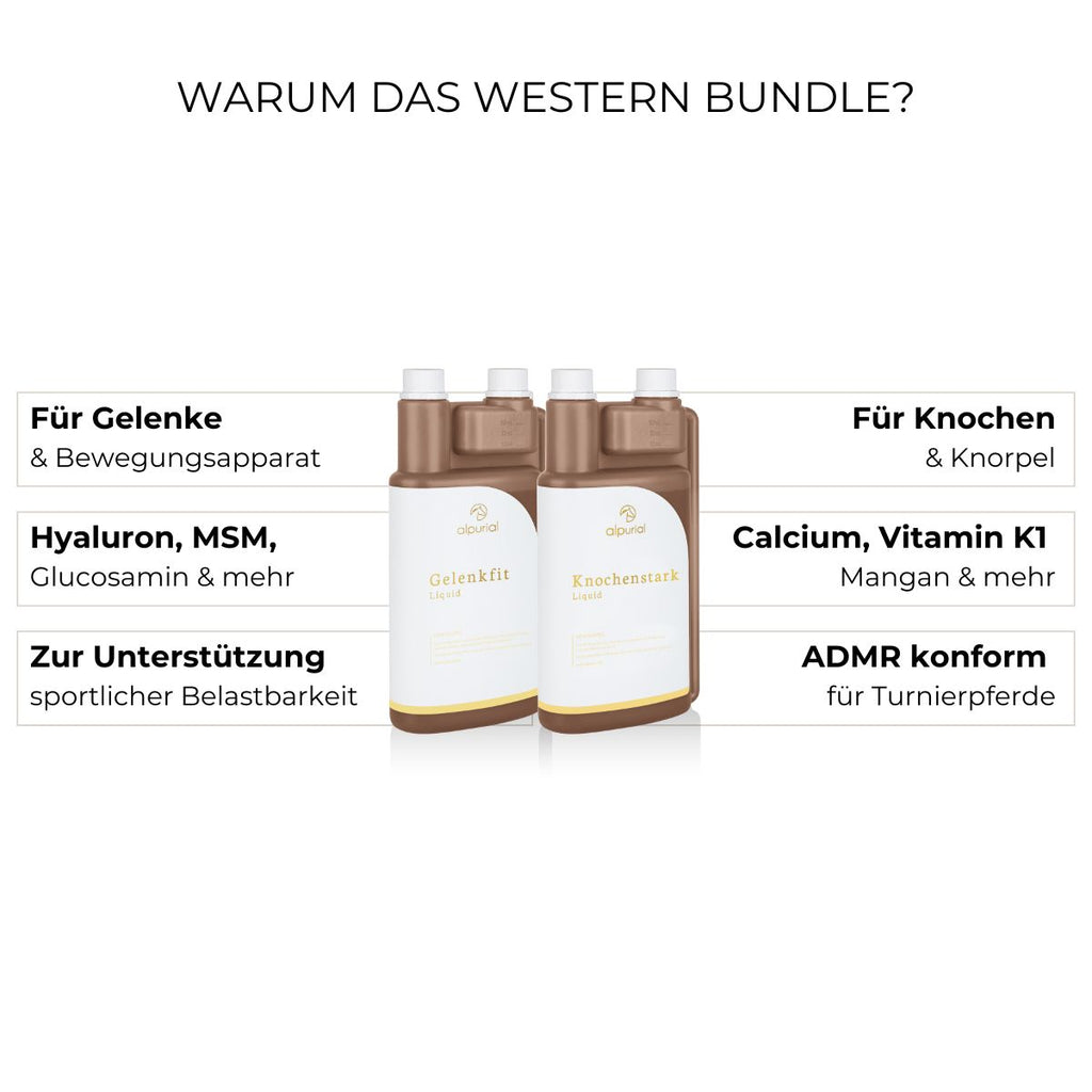 Western Bundle
