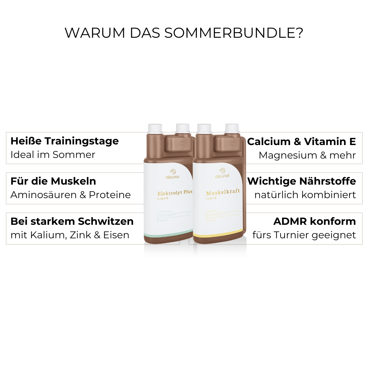 Sommerbundle Vorteile: Elektrolytausgleich, Ausgleich starkes Schwitzen, Training im Sommer