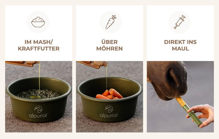 Flüssiges Zusatzfutter im Mash, über Möhren oder direkt ins Maul füttern
