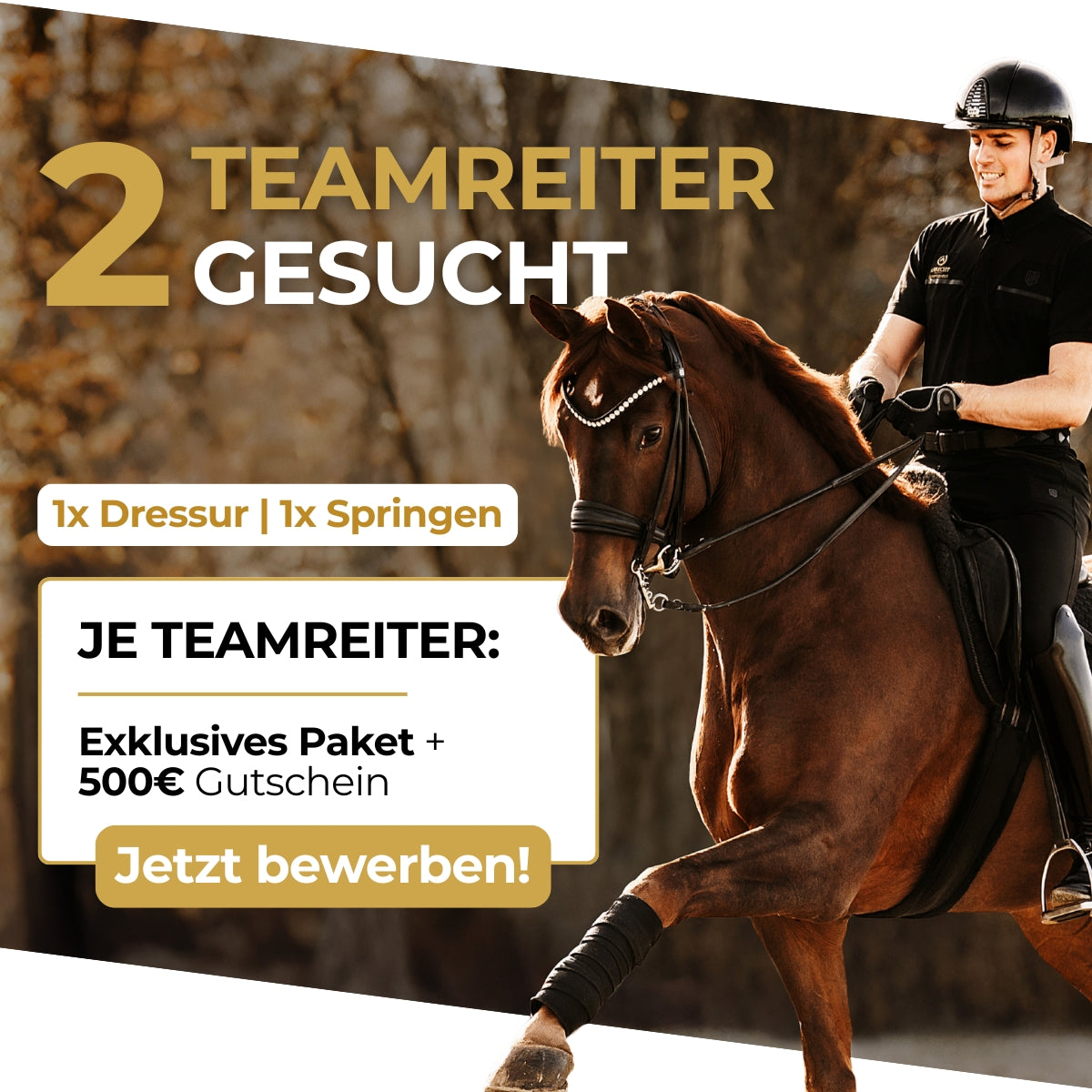 Werde Teamreiter für Alpurial!