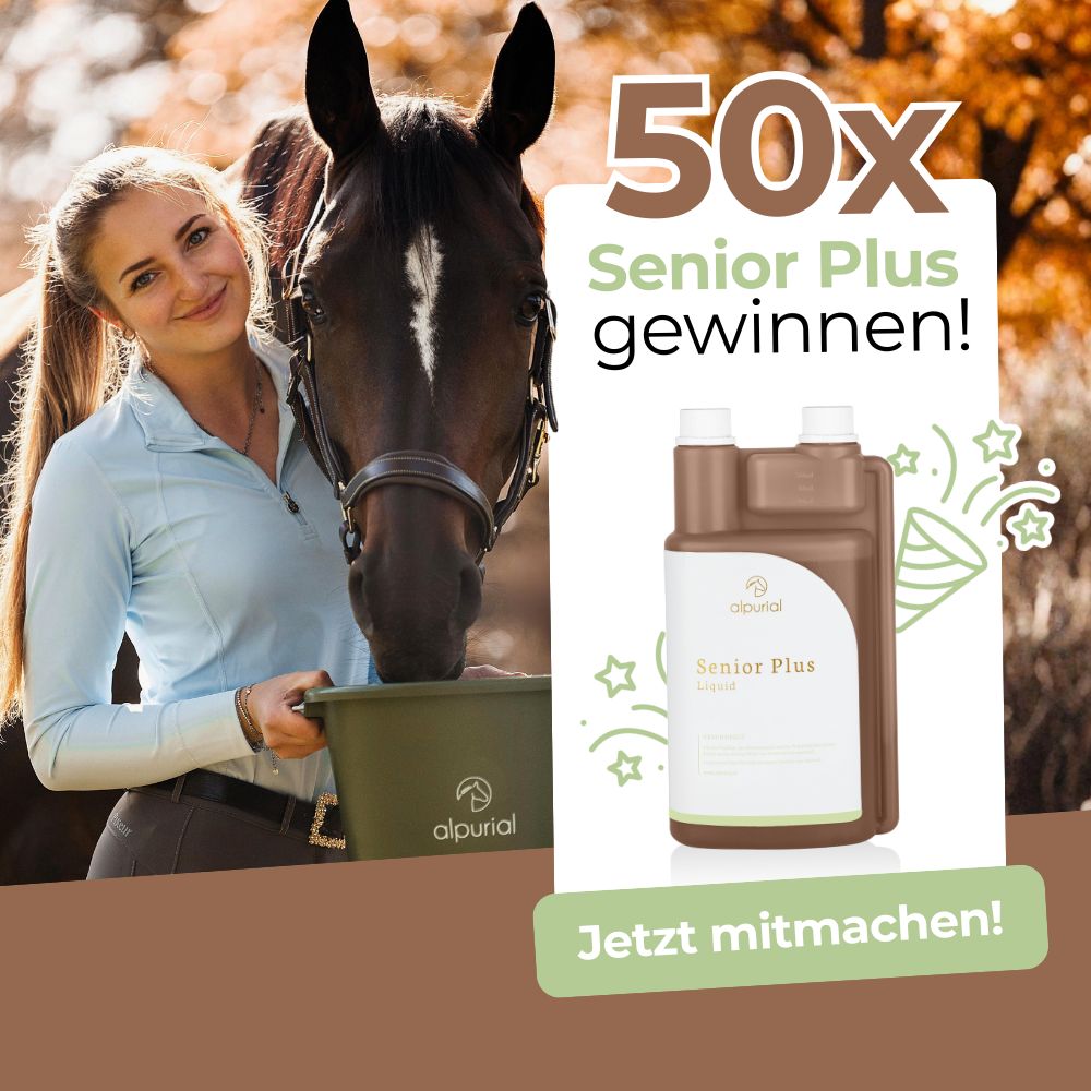 Sign up now & get a chance to win free Senior Plus