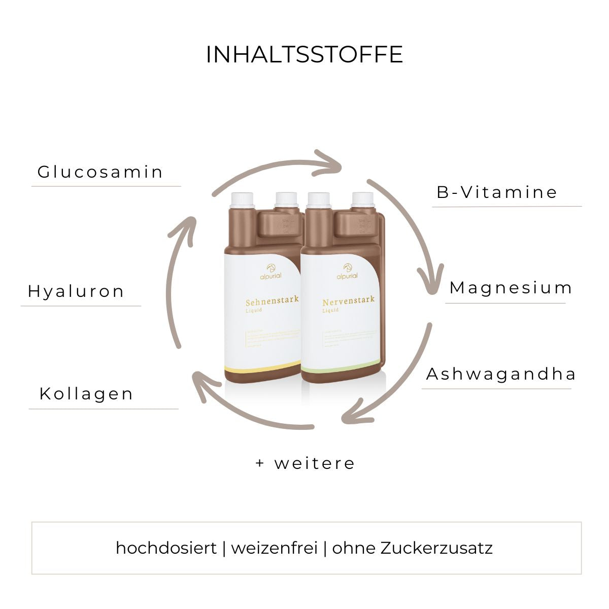 Auszeit Bundle Inhaltsstoffe wie Vitamin B12, Hyaluron, Kollagen und mehr.