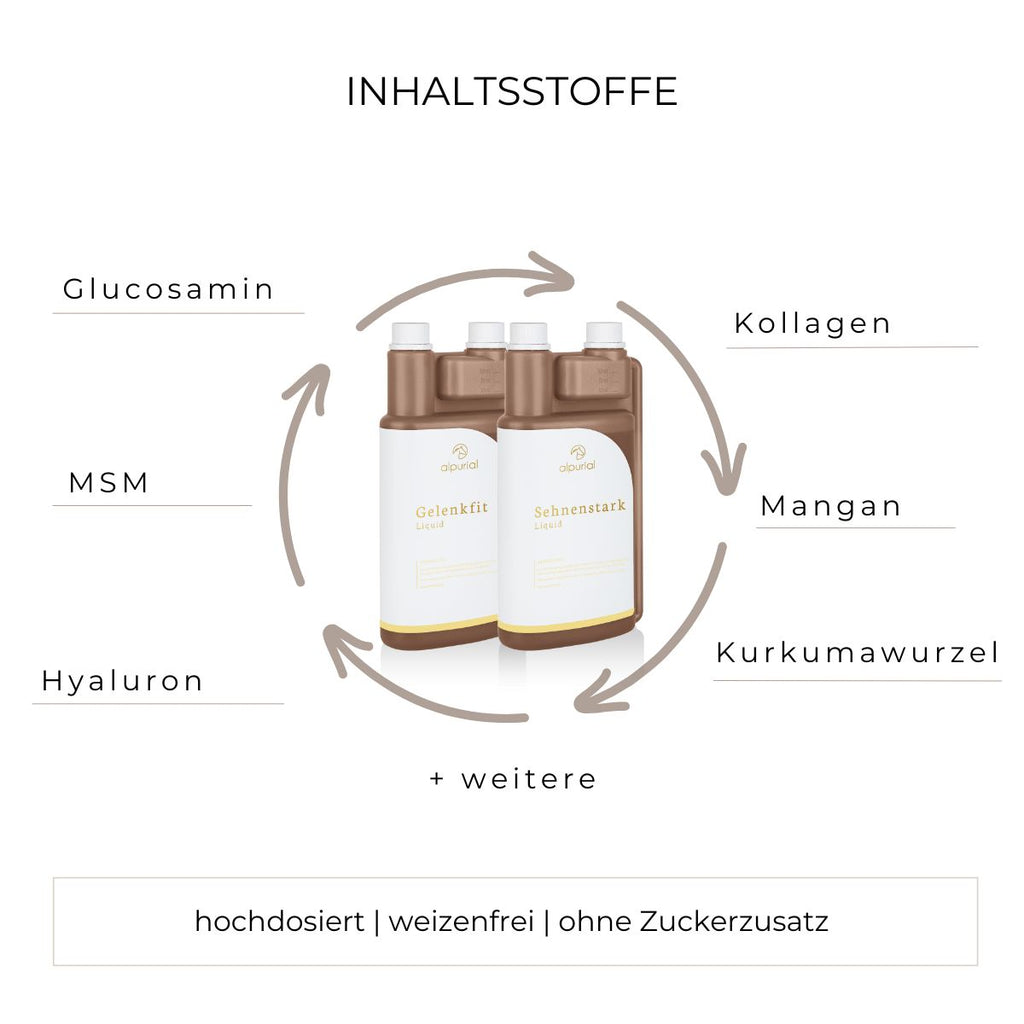 Bewegungsbundle flüssiges Zusatzfutter Inhaltsstoffe wie MSM, Kollagen, Hyaluron und mehr.