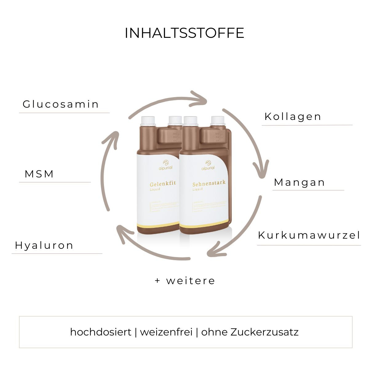 Bewegungsbundle flüssiges Zusatzfutter Inhaltsstoffe wie MSM, Kollagen, Hyaluron und mehr.
