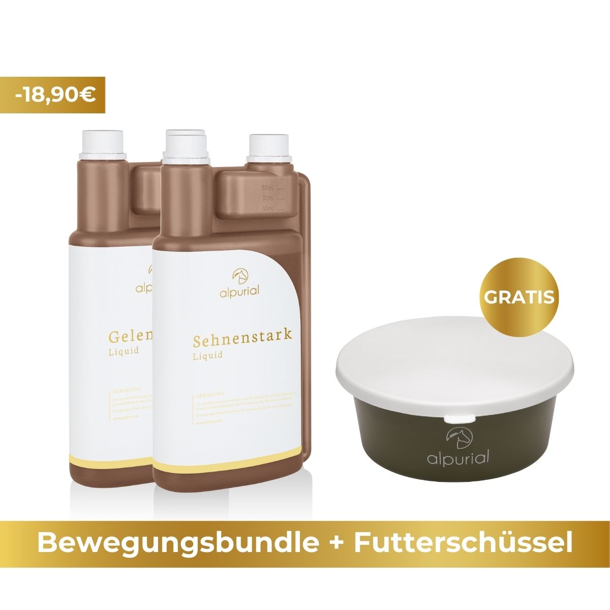 Premium Bewegungsbundle