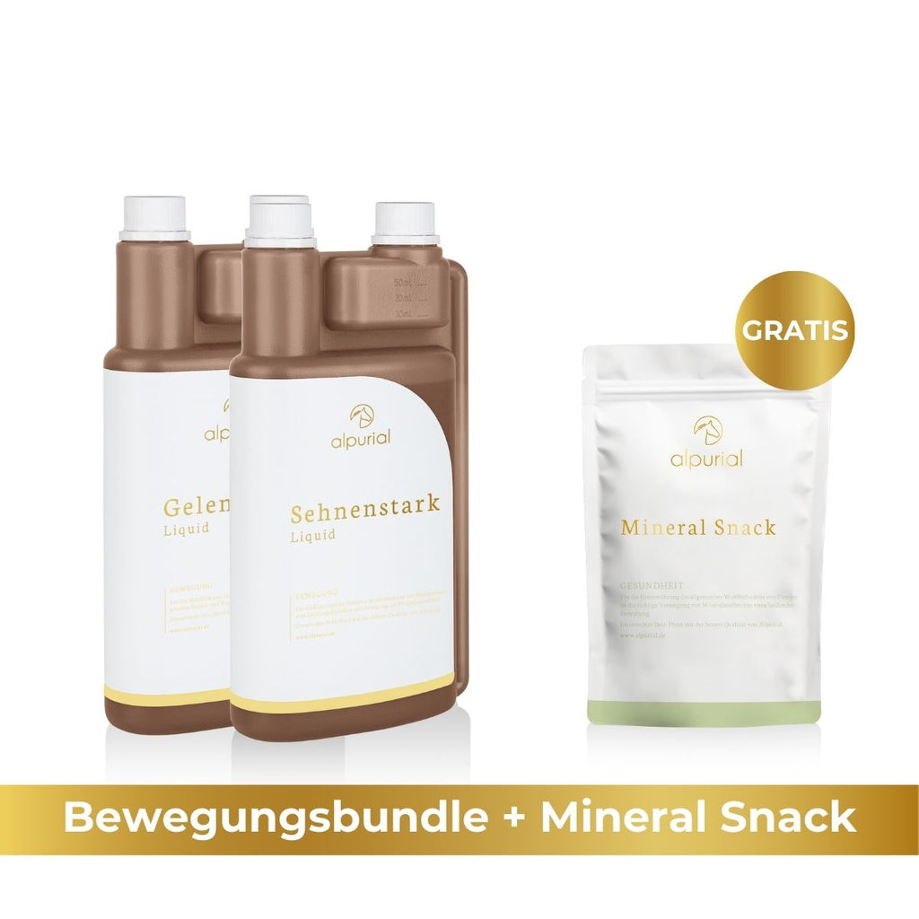 Premium Bewegungsbundle