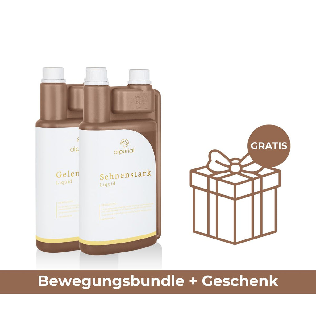 Premium Bewegungsbundle
