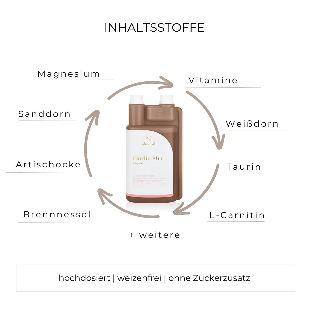 Grafik Inhaltsstoffe Cardio Plus wie Weißdorn, Magnesium, Sanddorn, Brennessel und mehr.