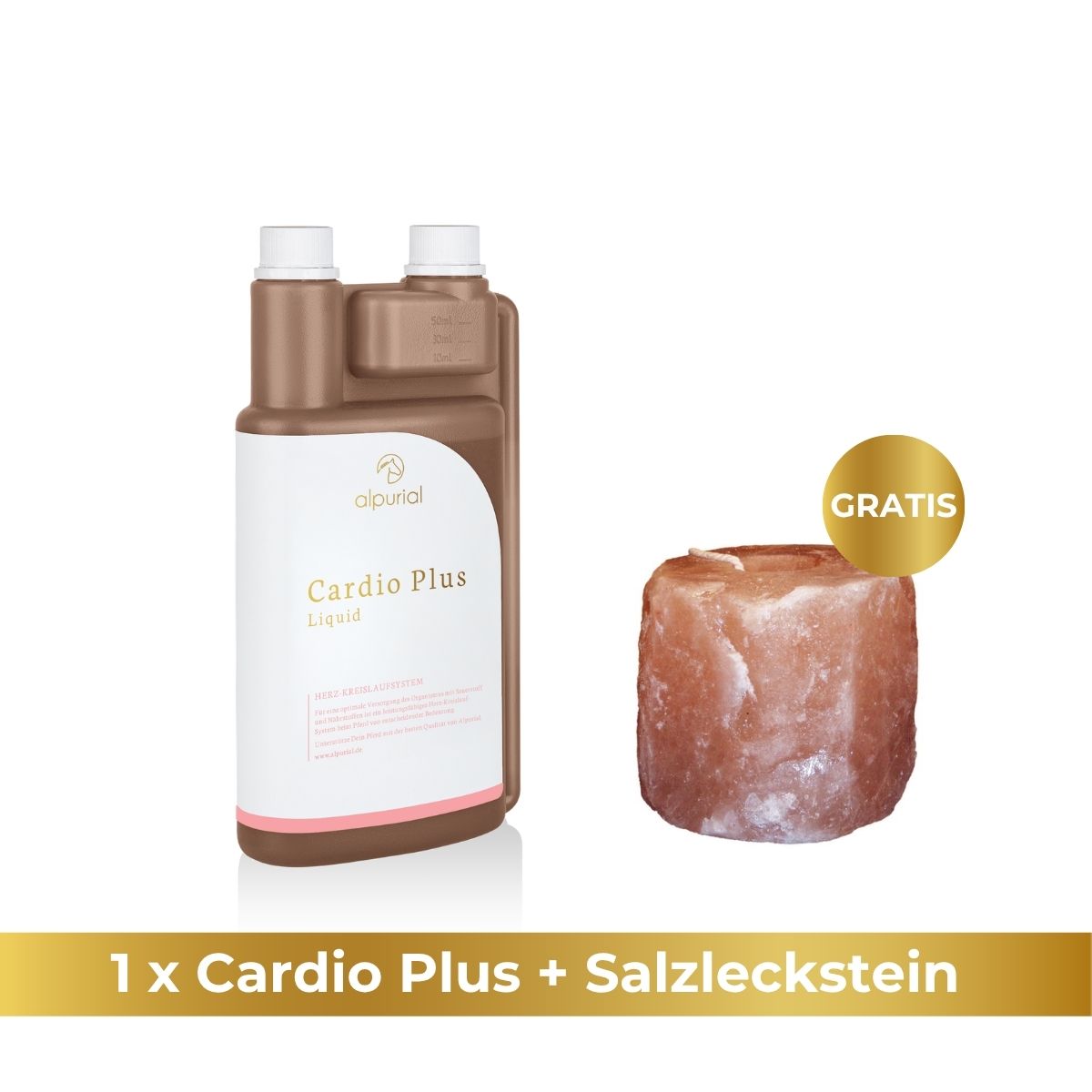 Cardio Plus