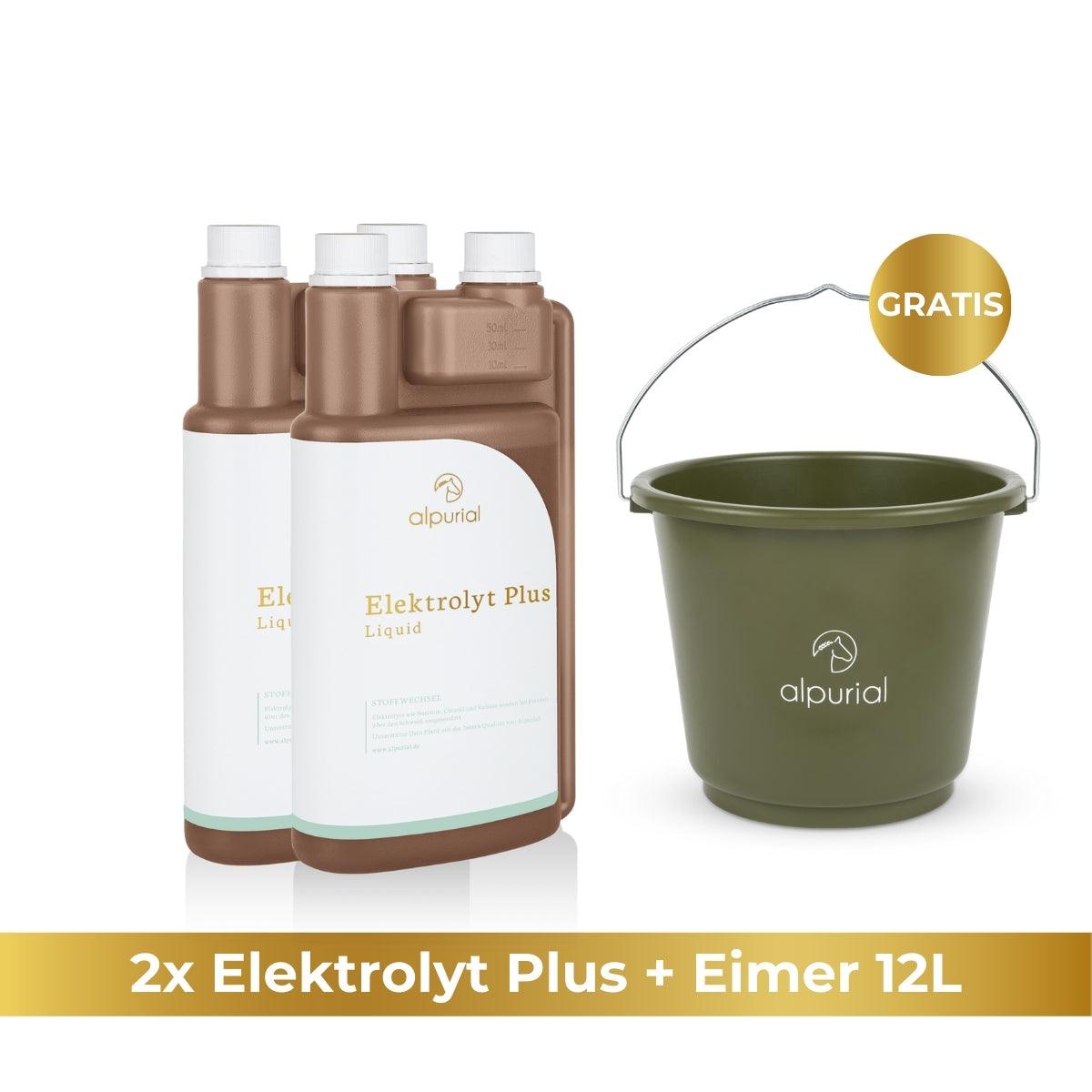 Elektrolyt Plus flüssiges Zusatzfutter Pferd zur Unterstützung nach Schwitzen Pferd 1 Liter Alpurial