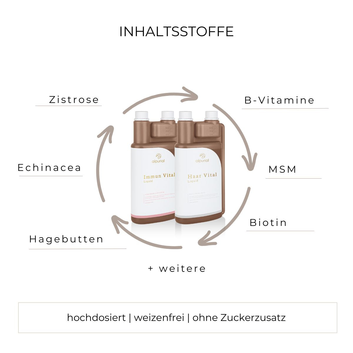 Fessel Bundle flüssiges Zusatzfutter Inhaltsstoffe wie Zistrose, B-Vitamine, Echinacea, MSM, Hagebutten, Biotin und mehr.