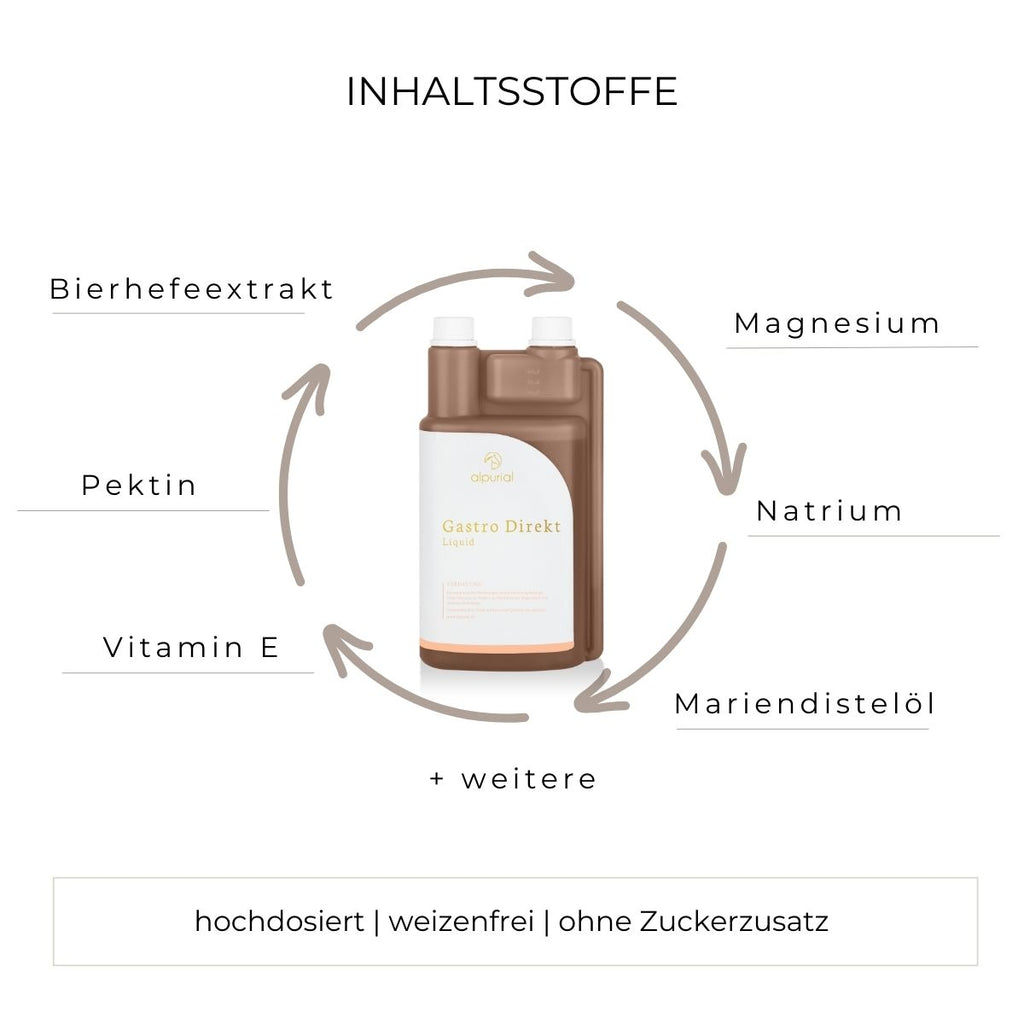 Gastro Direkt