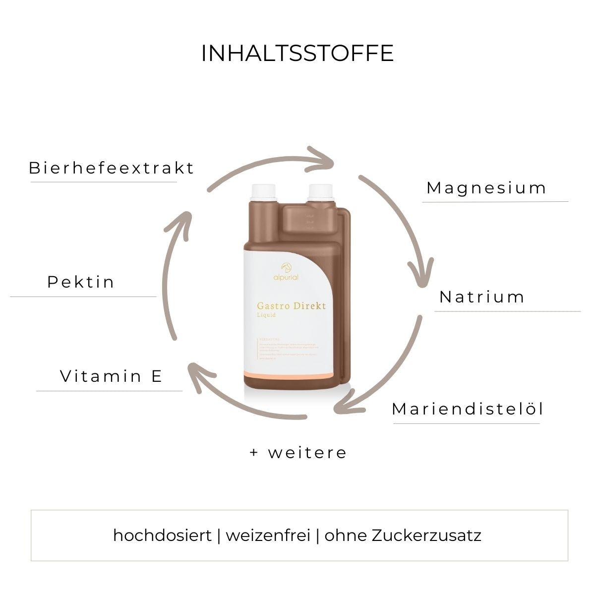 Gastro Direkt