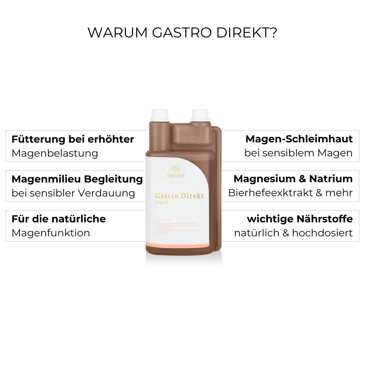 Gastro Direkt