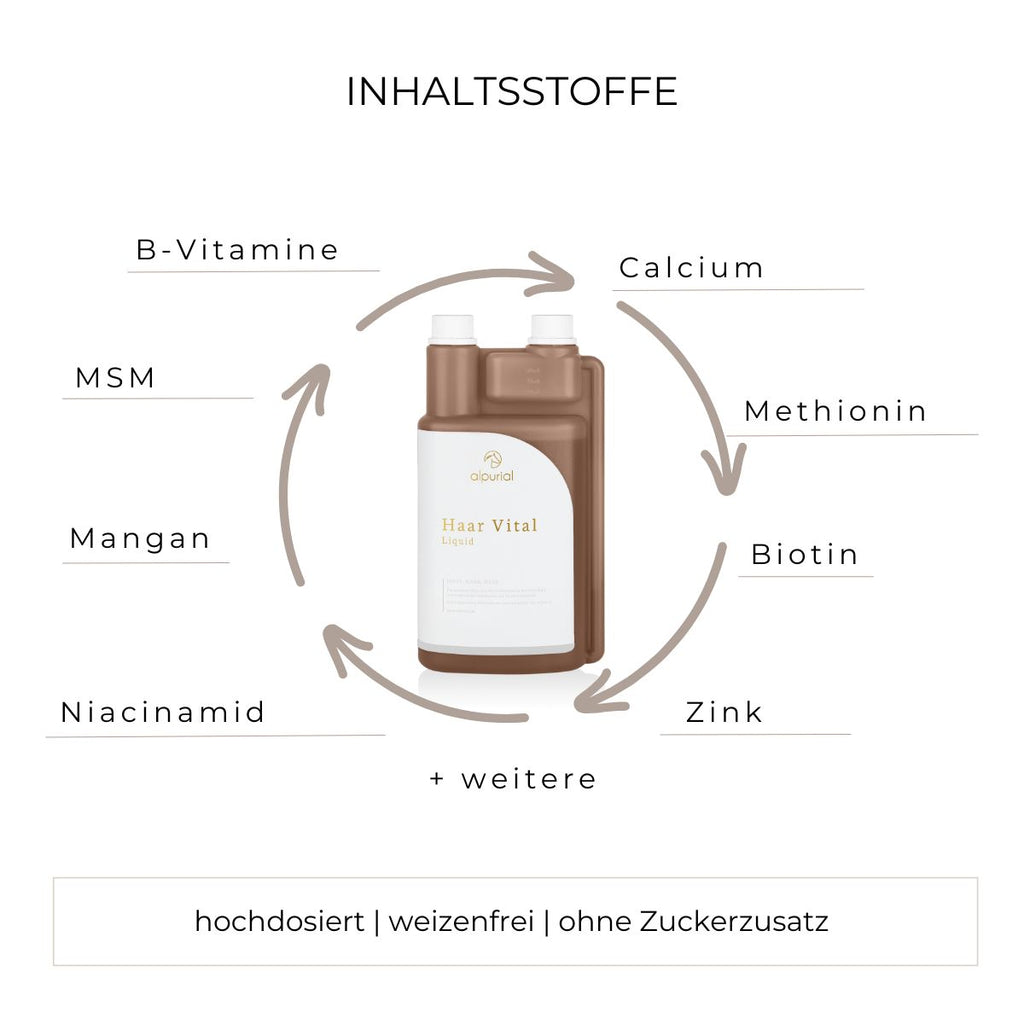 Haar Vital flüssiges Zusatzfutter Inhaltsstoffe wie Biotin, Zink, MSM und mehr.