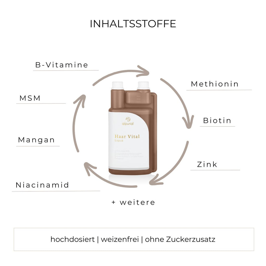 Haar Vital flüssiges Zusatzfutter Inhaltsstoffe wie Biotin, Zink, MSM und mehr.