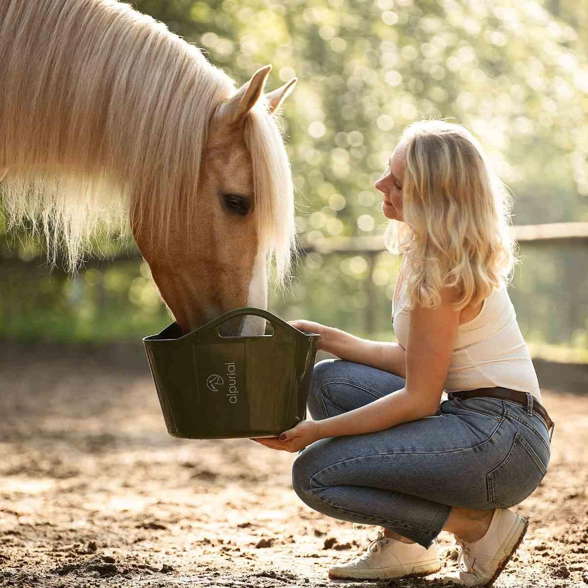 Pferd frisst Hanföl Zusatzfutter für Immunsystem von Alpurial