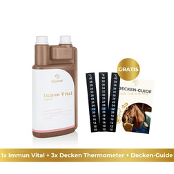 3x Decken Thermometer