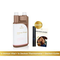 1x Decken Thermometer