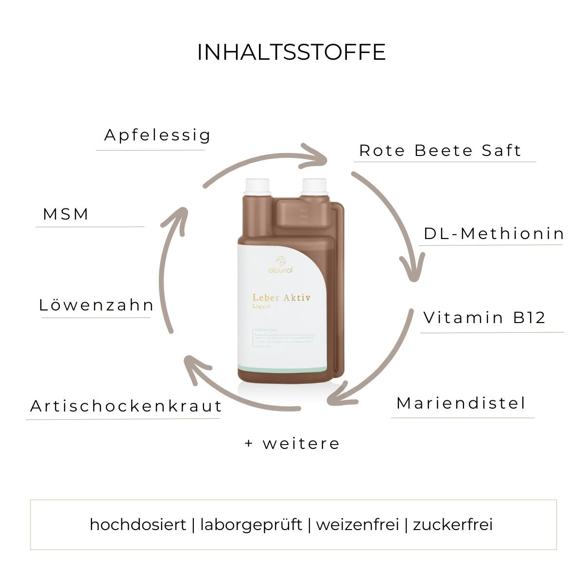 Grafik Inhaltsstoffe Leber Aktiv wie Vitamin B12, MSM, Artischockenkraut und mehr.