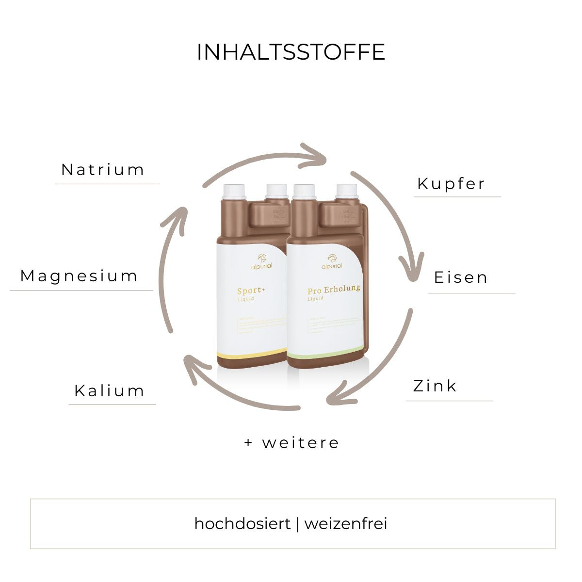 Auszeitbundle flüssiges Zusatzfutter Inhaltsstoffe wie Magnesium, Tryptophan, Vitamin B12 und mehr.