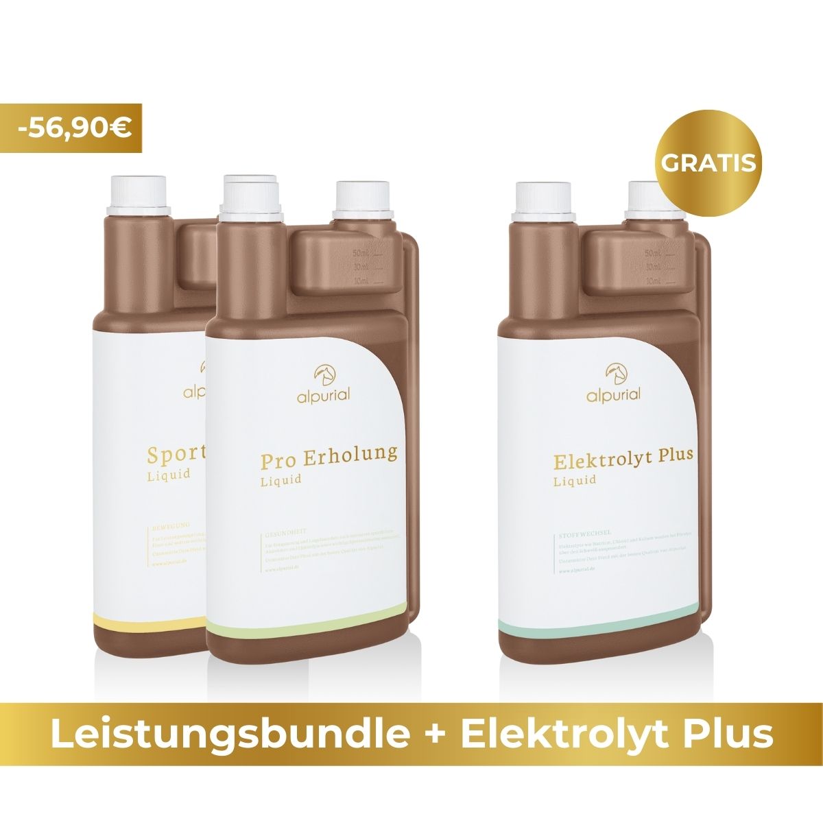 Premium Leistungsbundle