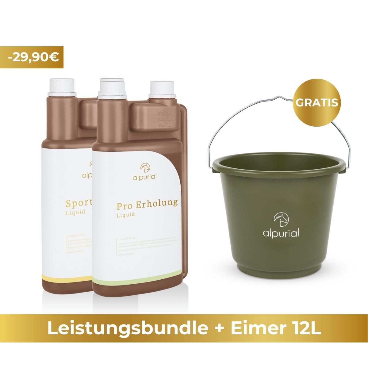 Premium Leistungsbundle